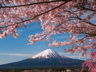 日本7月核心CPI连续两月加速，市场押注日本央行9月加息概率达80%
