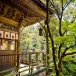 share_log