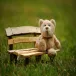 share_log