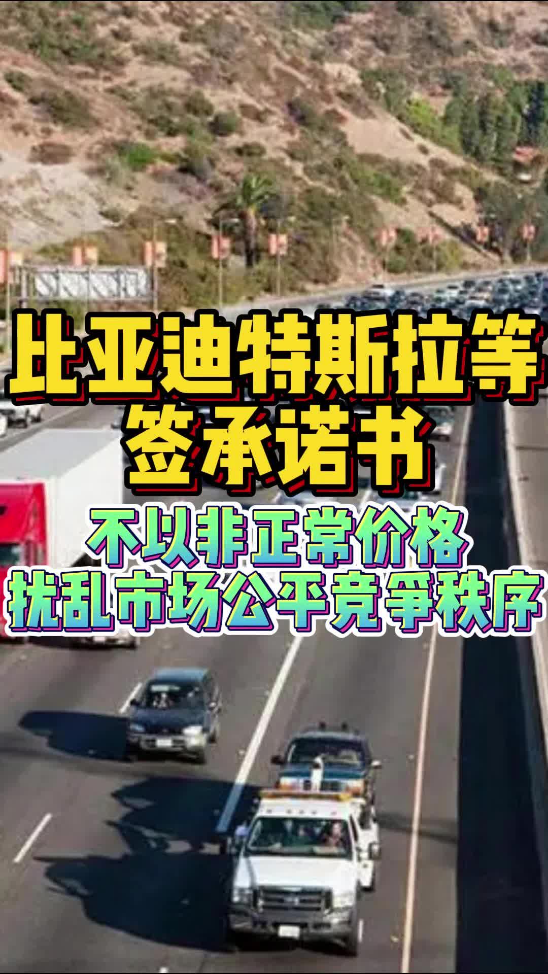 比亚迪特斯拉等车企签承诺书