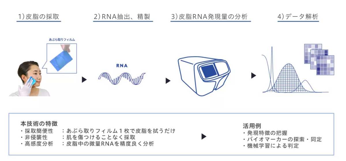 皮脂RNAモニタリングの説明。皮脂の採取から分析の過程、特徴、活用例など。