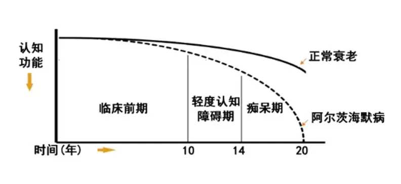 图：衰老与阿尔茨海默病，来源：西部证券