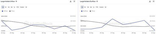 Dogecoin Whale Activity