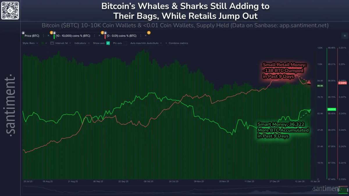 Bitcoin falls below $86,000: Retail sell-off, whale accumulation – is now a  good time to buy?
